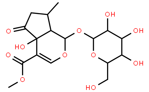 5-羟基马鞭草苷