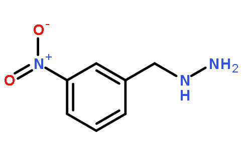(3-nitrobenzyl)hydrazine