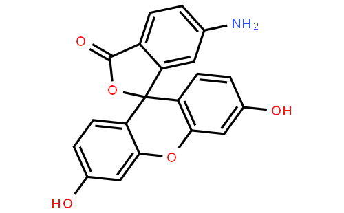 6-氨基荧光素