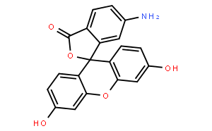 5-氨基荧光素