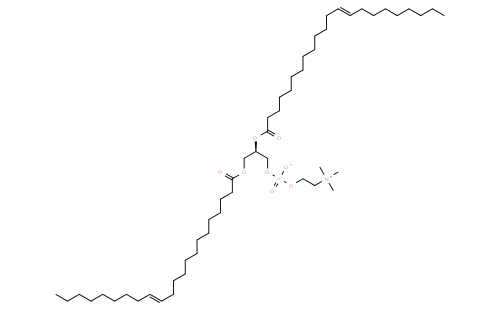 1,2-dierucoyl-sn-glycero-3-phosphocholine