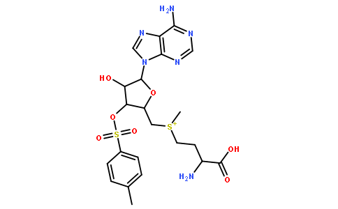 5'-[[(3S)-3-Amino-3-carboxypropyl]methylsulfonio]-5'-deoxy-Adenosine tosylate