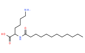 N-(十二?；?賴氨酸