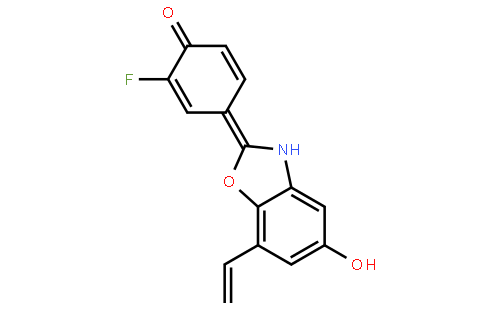 普林贝瑞