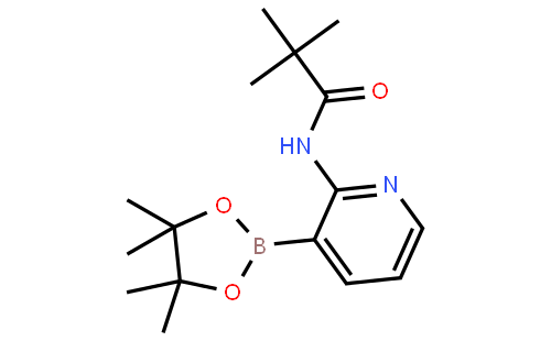 2-(特戊酰氨基)吡啶-3-硼酸频那酯