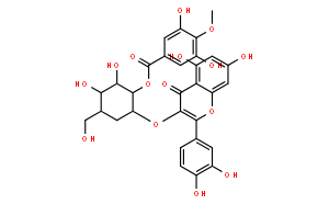 2''-O-没食子酰基金丝桃苷