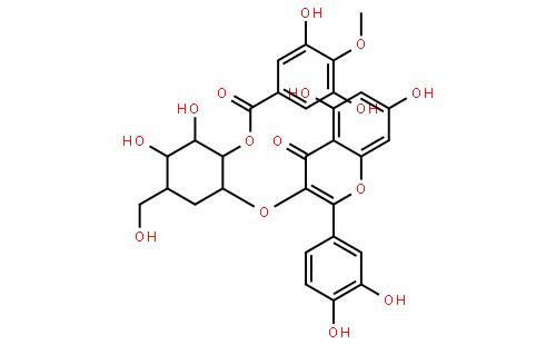 2''-O-没食子酰基金丝桃苷