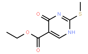 1,4-DIHYDRO-2-(METHYLTHIO)-4-OXO-5-PYRIMIDINE-CARBOXYLATE ACID ETHYL ESTER