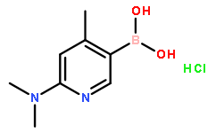 [6-(二甲氨基)-4-甲基-3-吡啶基]-硼酸