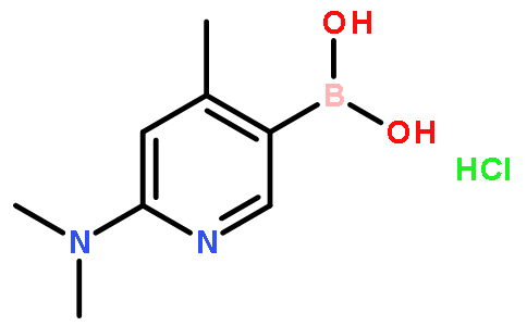 2-(Dimethylamino)-4-methylpyridine-5-boronic acid