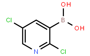2,5-二氯-3-吡啶硼酸