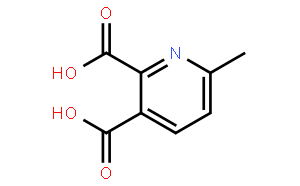 6-甲基-2,3-吡啶二甲酸