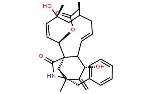 Cytochalasin H from Phomopsis sp