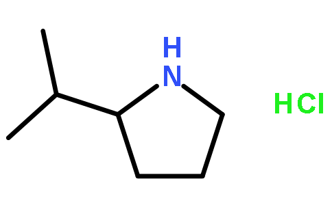 2-propan-2-ylpyrrolidine;hydrochloride