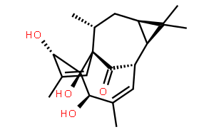 20-去氧巨大戟萜醇