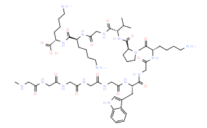 促肾上腺皮质激素片段 (1-16),人