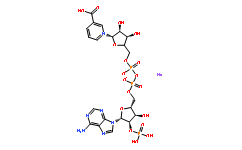 NAADP tetrasodium salt(5502-96-5)