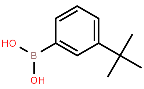 3-叔-丁基苯基硼酸