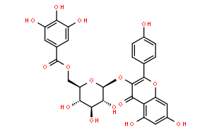 山奈酚 3-O-(6''-沒食子?；?-beta-D-吡喃葡萄糖苷