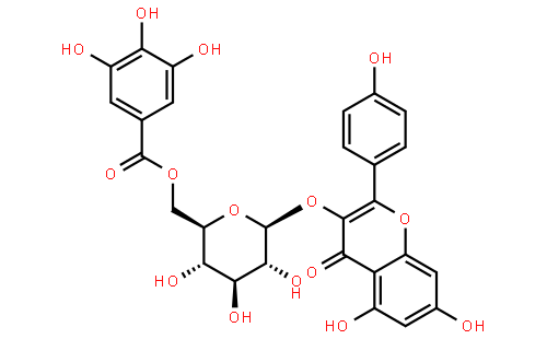 山奈酚 3-o(6-没食子酰基-beta-d-吡喃葡萄糖苷