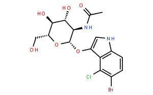 5-溴-4-氯-3-吲哚-N-乙酰-β-D-氨基葡萄糖苷