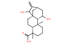 11，15-二羥基-16-貝殼杉烯-19-酸