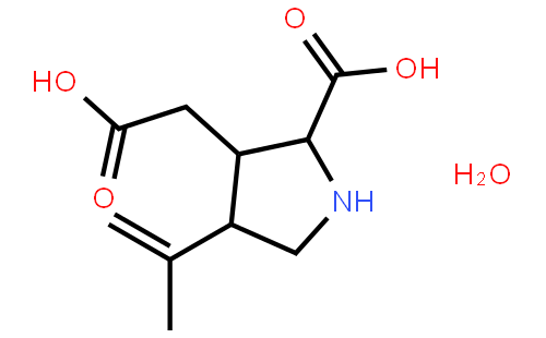 kainic acid monohydrate