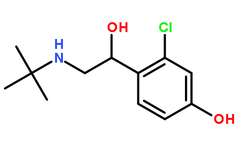 HOKU-81