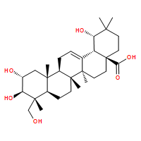 2alpha，19alpha，23-三羟基齐墩果酸