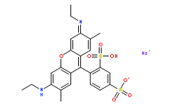 磺基罗丹明G