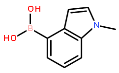B-(1-methyl-1H-indol-4-yl)-Boronic acid