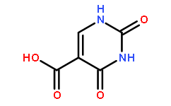 5-羧酸尿嘧啶
