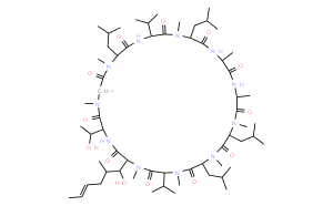 環(huán)孢菌素C