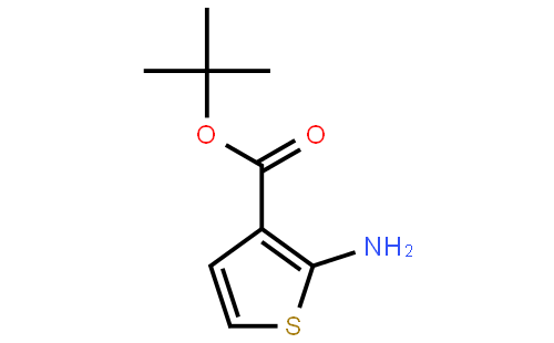 tert-Butyl 2-aminothiophene-3-carboxylate