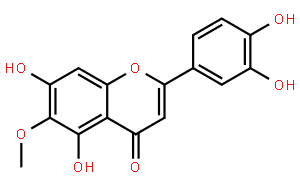 6-甲氧基藤黃菌素;澤蘭葉黃素