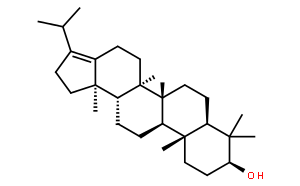 564-14-7  Hop-17(21)-en-3-ol