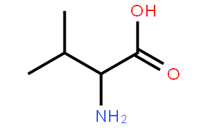 DL-2-氨基异戊酸