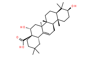 Echinocystic acid   刺囊酸