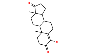 I型甾体芳香酶抑制剂