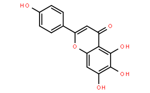 5,6,7-三羥基-2-(4-羥基苯基)-4H-苯并吡喃-4-酮