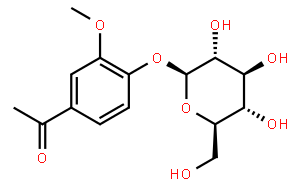 草夾竹桃苷