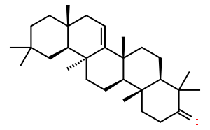 蒲公英賽酮