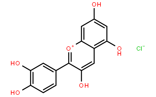 氯化矢车菊素, 分析对照品