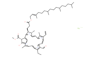 葉綠素B