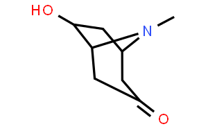 (±)-外-6-羟基托品酮