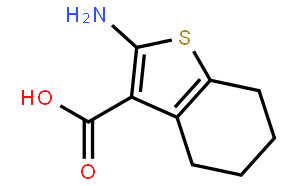 2-氨基-4,5,6,7-四氫苯并[b]噻吩-3-羧酸