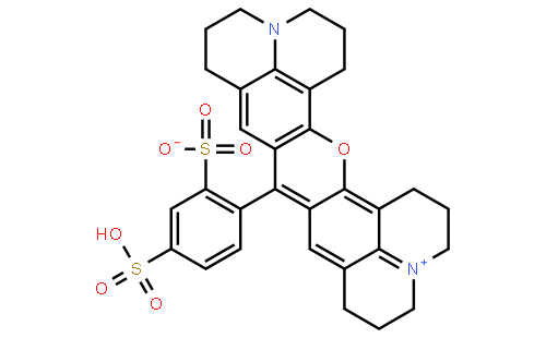 sulforhodamine 101