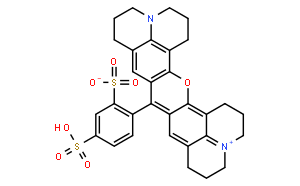 Sulforhodamine 101; Sulforhodamine 640
