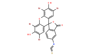 曙紅-5-異硫氰酸酯