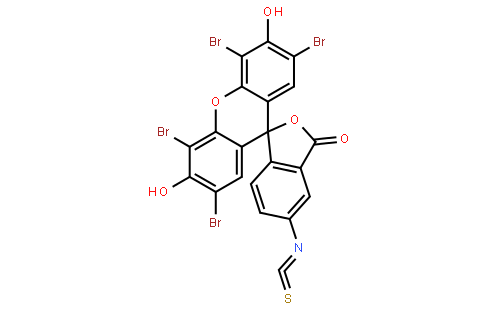 Eosin-5-isothiocyanate